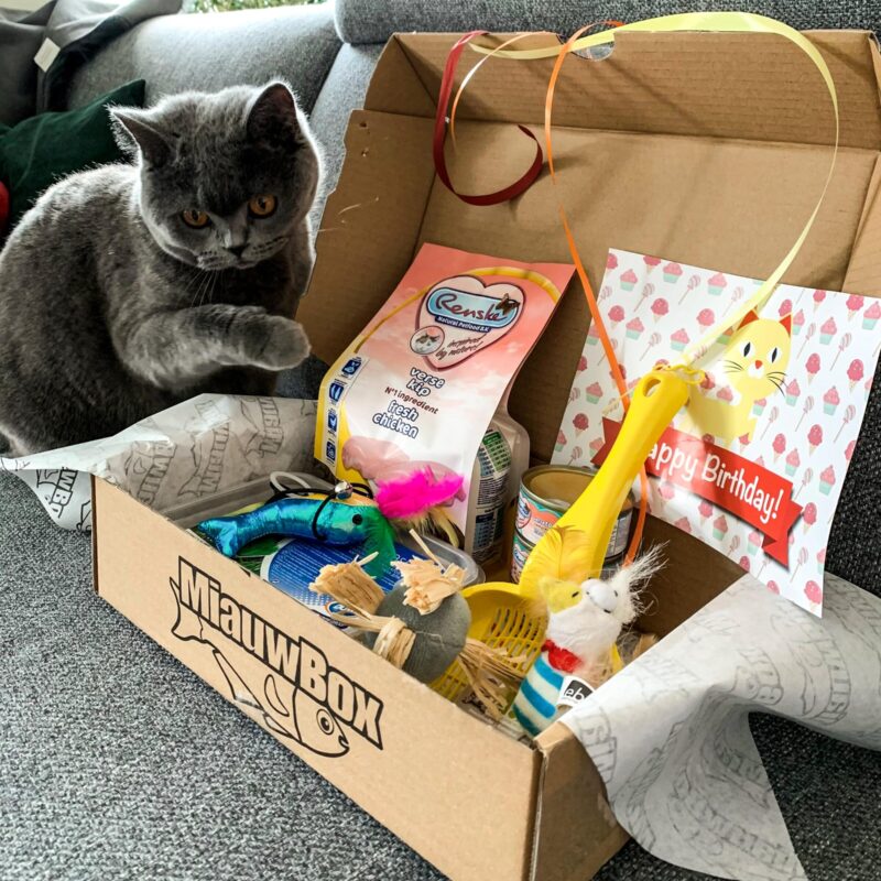 verjaardag miauwbox