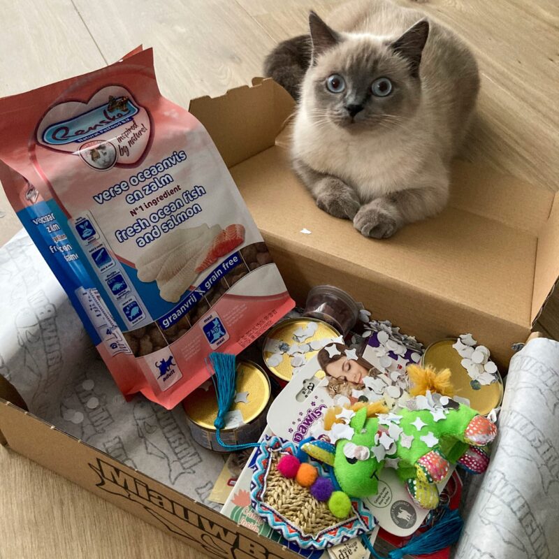 verjaardag miauwbox