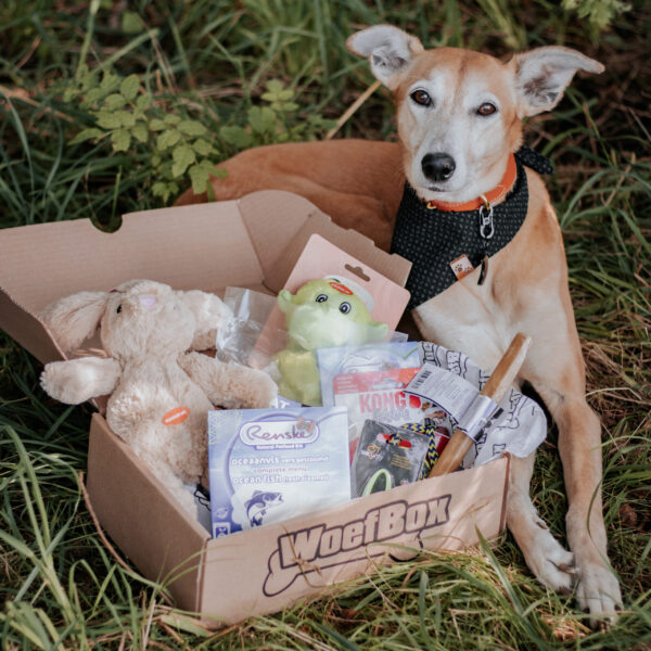 Dierendag WoefBox