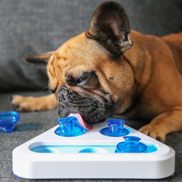 Spel Chop Interactief Brokjes Snack Beloning Spelletje Hond