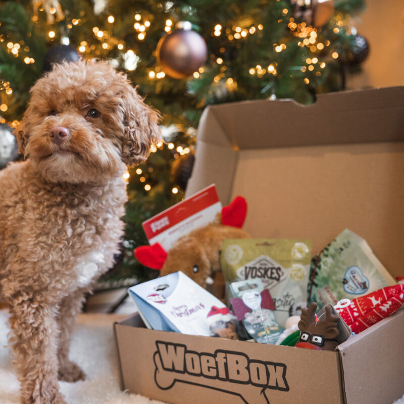 Kerst Woefbox