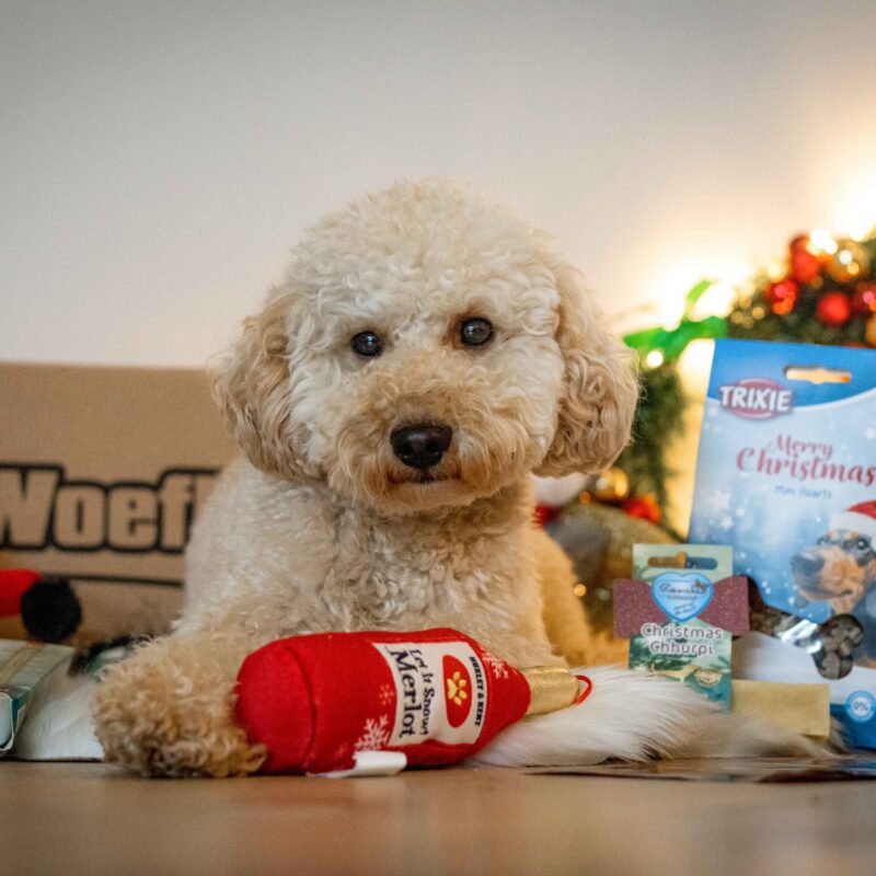 Kerst woefbox