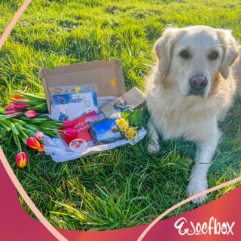 WoefBox Valentijn