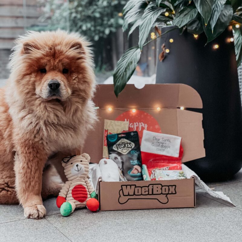 kerst woefbox