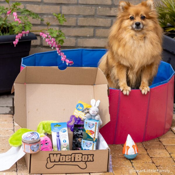 Sunshine Woefbox