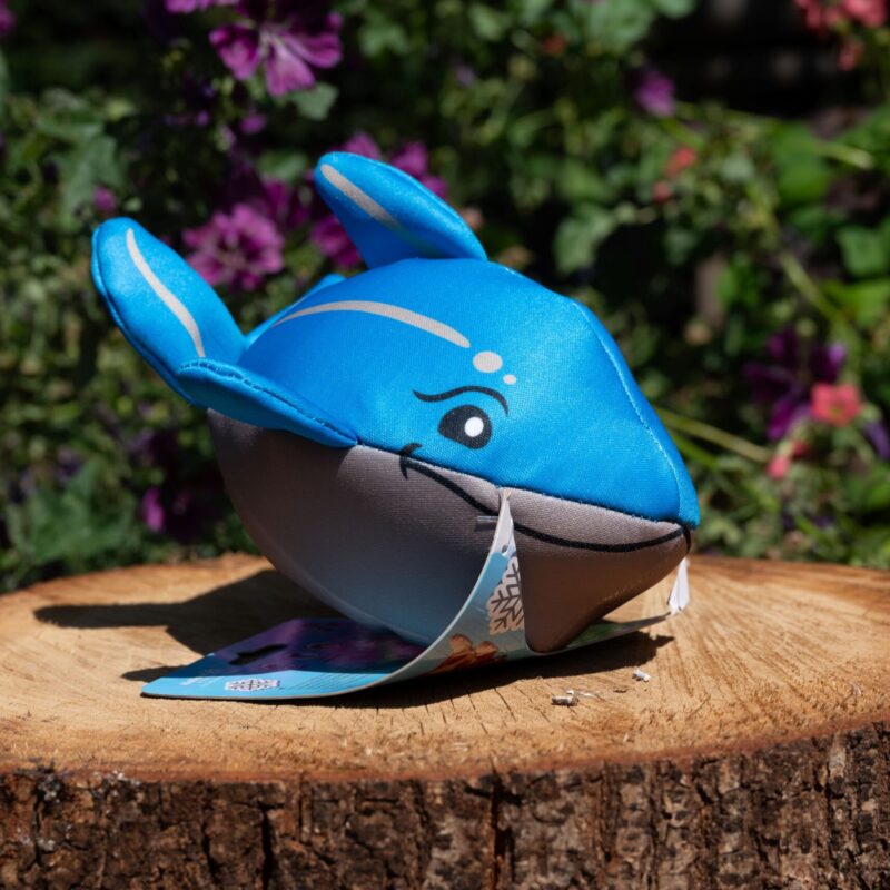 Coolpets Dolphi The Dolphin