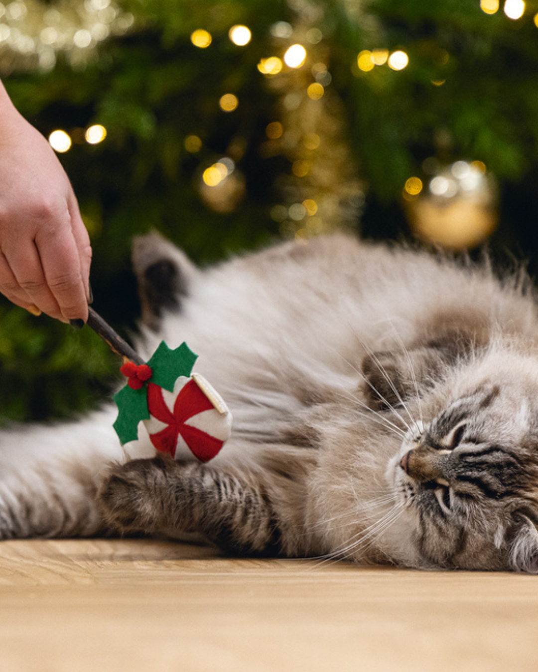 voor-e3695-met-een-waarde-van-e60-instagram-bericht-45-png