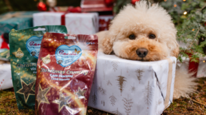 kerstcadeau ideeën hond